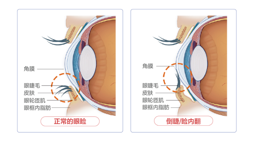 微信圖片_20250813145904