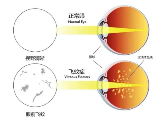 微信圖片_2025-08-29_140930_726