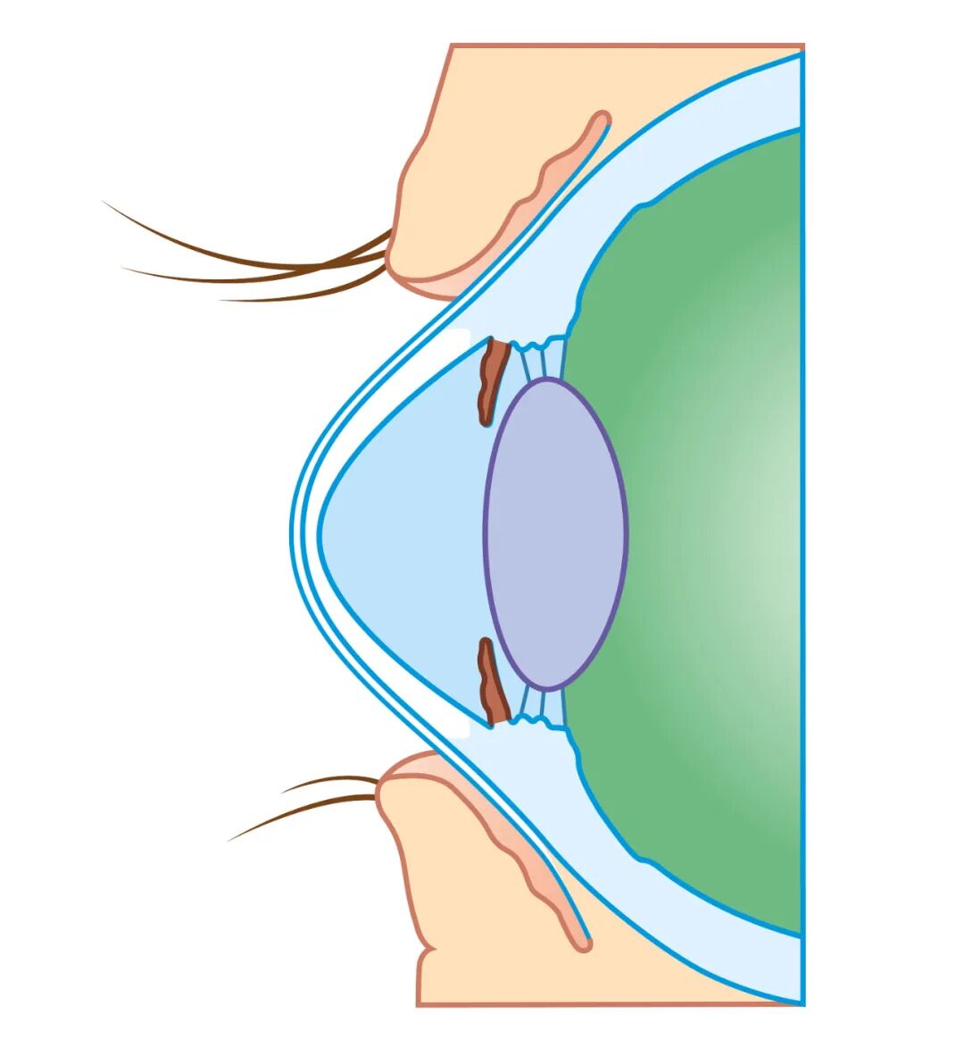 微信圖片_2025-09-04_102717_302