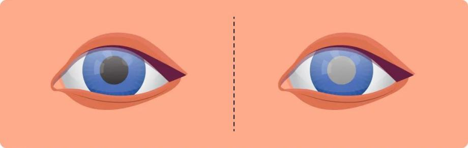 微信圖片_2025-09-12_102937_586