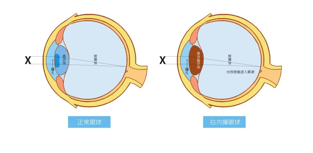 微信圖片_2025-10-23_151116_459