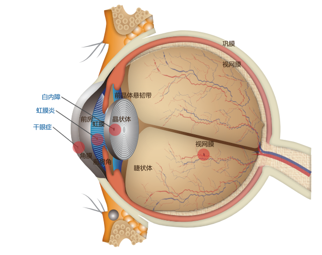 微信圖片_2025-10-04_150404_790