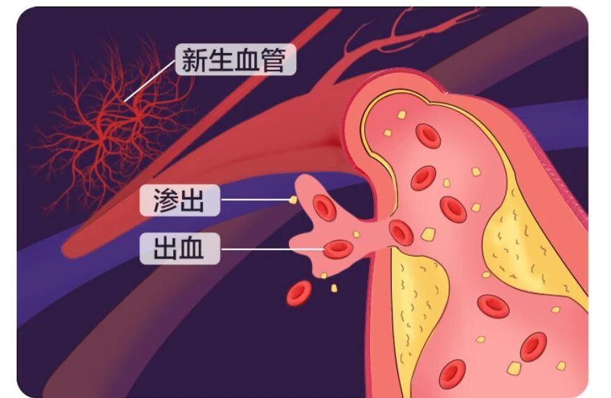 微信圖片_2025-11-13_103650_698