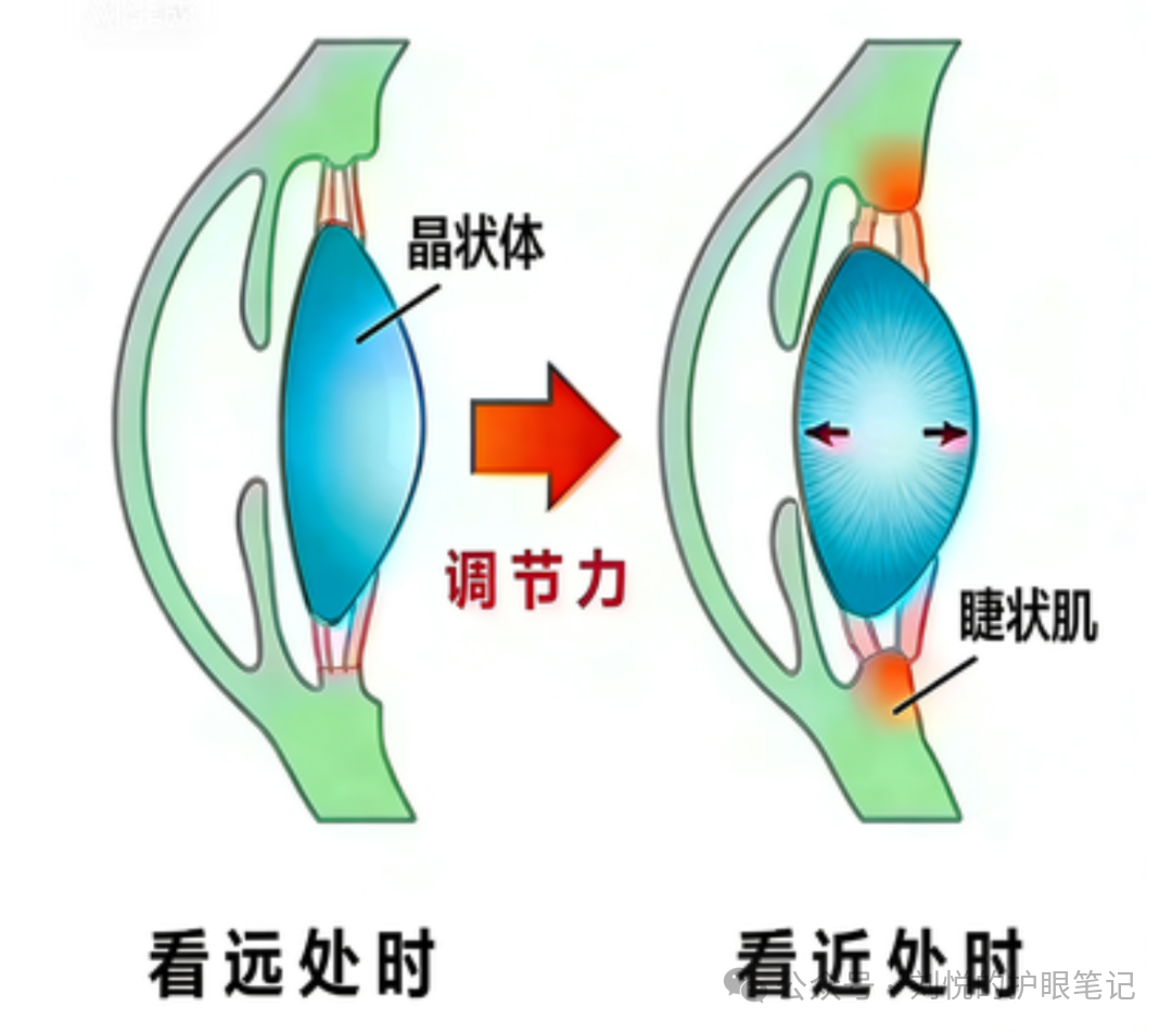 微信圖片_2026-01-05_135924_175